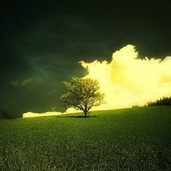 Spring iPad Wallpaper