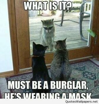 Funny Monday Cartoons Pics Sayings Image