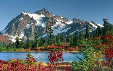Wallpaper Landscape Flowers Colorful Snow Spring Mountains