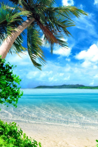 Island Paradise Beach Wallpaper Beautiful Nature