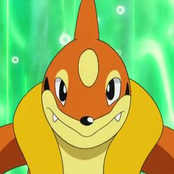 Floatzel Wallpaper Pictures Image Photos Photobucket