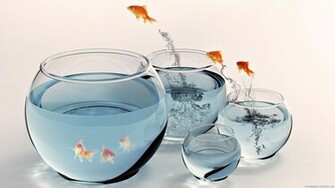 Red Fish HD Wallpaperwelcome To Starchop