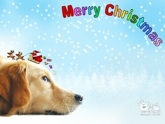 Christmas Dog Wallpaper