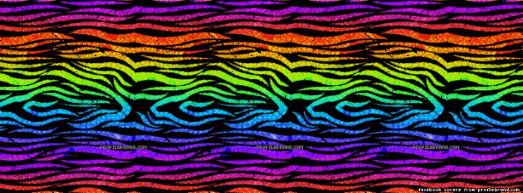 Rainbow Animal Print HD Wallpaper On Picsfair