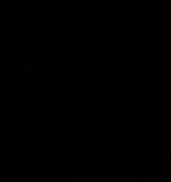 Cat Silhouette By Anitess