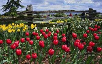 Desktop Calendar Wallpaper April Webgranth