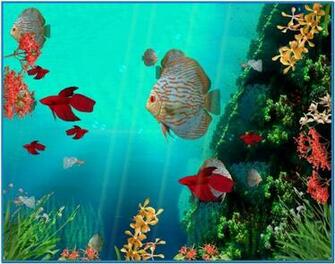 Moving Screensaver Animated Coral Reef
