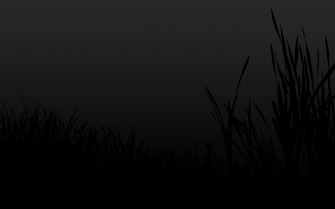Wallpaper2you Wallpaper