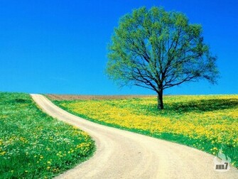 Ava7 Funny Stuff Beautiful Nature Wallpaper Part