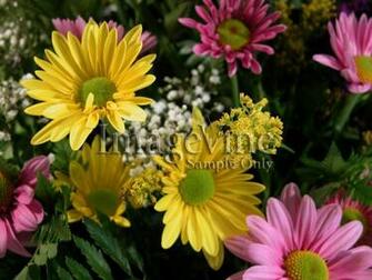 Christian Mothers Day Background For Worship And Powerpoint