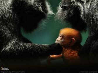 National Geographic Daily Photo