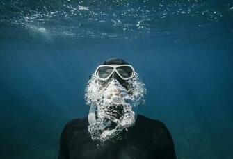 Dive Pictures Hq Image Stock Photos