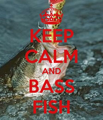 Bass Fishing Wallpaper iPhone