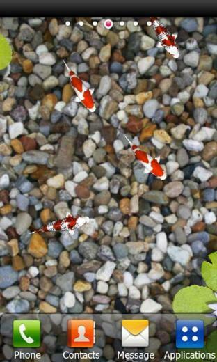 Koi Zen Water Garden Live Wall HD Wallpaper Background Ze