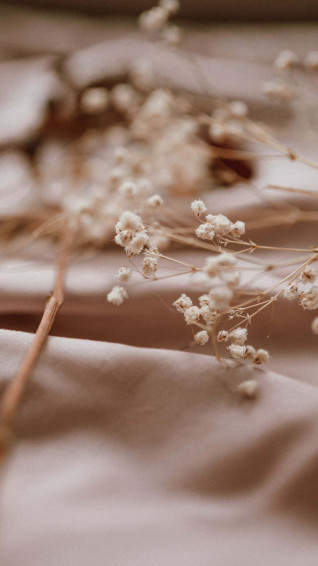 Fall In Love With Nature S Soft Aesthetic Wallpaper