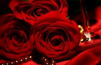 Red Roses Background Wallpaper High Definition Quality