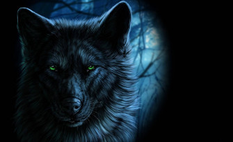 Top Cool Black Wolf Wallpaper Full HD 4k To Use
