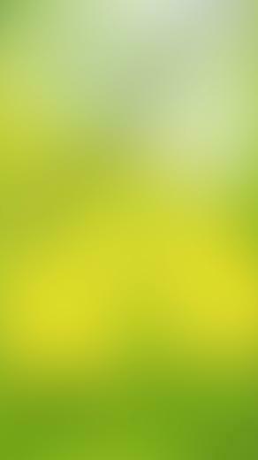 Soft Green The iPhone Wallpaper