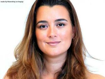 Cote De Pablo Image Wallpaper HD