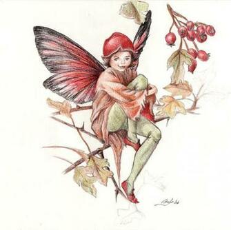 Flower Fairy Pictures Desktop Background