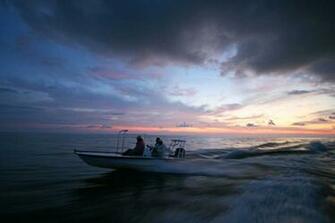 Saltwater Fish Wallpaper Fly Fishing