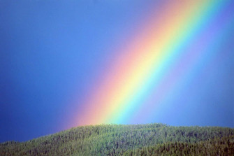 Rainbow Aesthetic Background Wallpaper