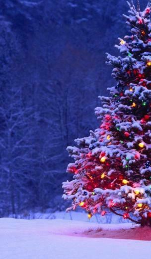 Christmas Tree Galaxy Tab Wallpaper