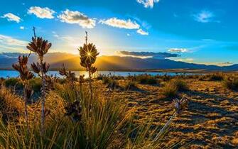 Sunset Bluestem Praire Colorado Springs Wallpaper