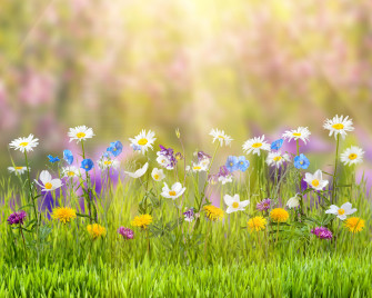 Wallpaper 4k Spring