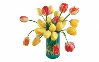 Large Size Tulip Wallpaper Flower