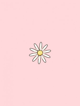 Daisy Wallpaper Pastel Pink iPhone