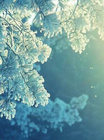 iPad Mini Wallpaper Frozen