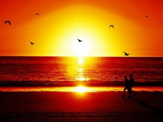 Beautiful Sunset In Beach Wallpaper Hq Nature