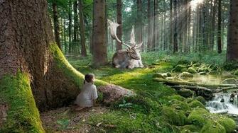 HD Wallpaper 1080p Forest Desktop