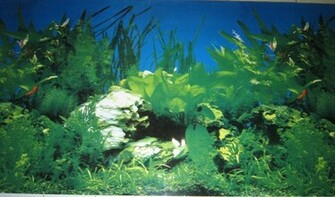 Aquarium Background Pictures
