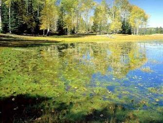 Nature Wallpaper Desktop Natuur Pictures Pag