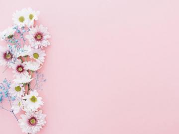 Ppt Background On Flowers Of Pink For