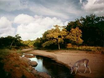 Texas Hill Country Wallpaper