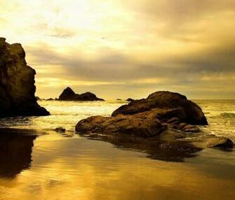 Nature Android Wallpaper Set