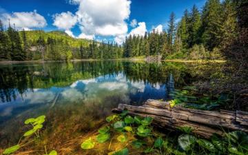 Hadikin Lake Vancouver Island Carmanah Walbran Provincial Park