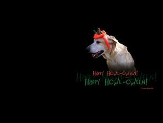 Halloween Dog Wallpaper Happy Howl Oween