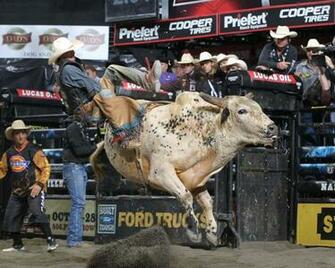 Bull Riding Bullrider Rodeo Western Cowboy Extreme Cow