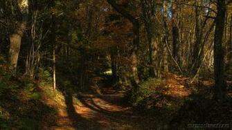 Wallpaper Fall Scenery