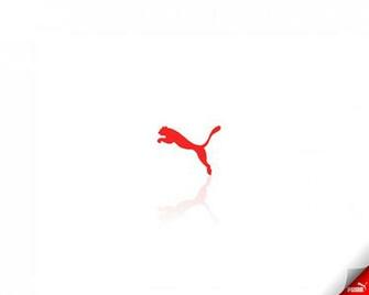Puma Logo Wallpaper HD In Logos Imageci