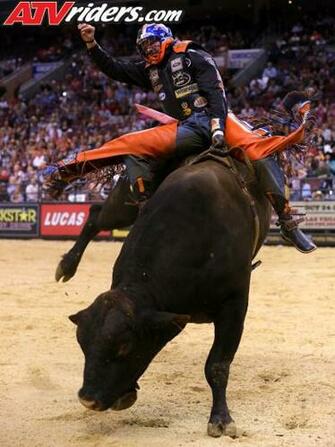 Pbr Bull Rider