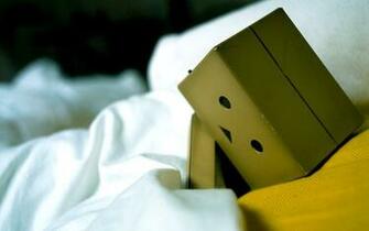 Danbo Wallpaper HD
