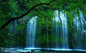Secret Waterfall Animated Wallpaper Desktopanimated