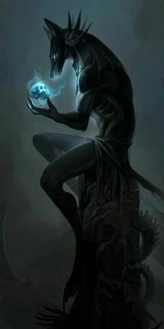 Lobo Wallpaper Posted By Ethan Peltier