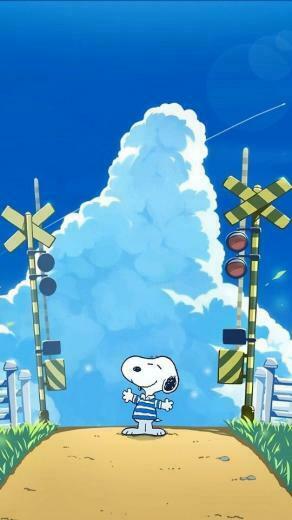 Wallpaper In