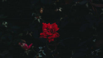 Red And Black Aesthetic Computer Wallpaper